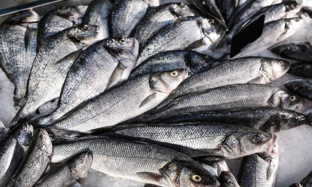 Balıkla süt tüketimi hakkında hakikat bilinen yanlışlar!