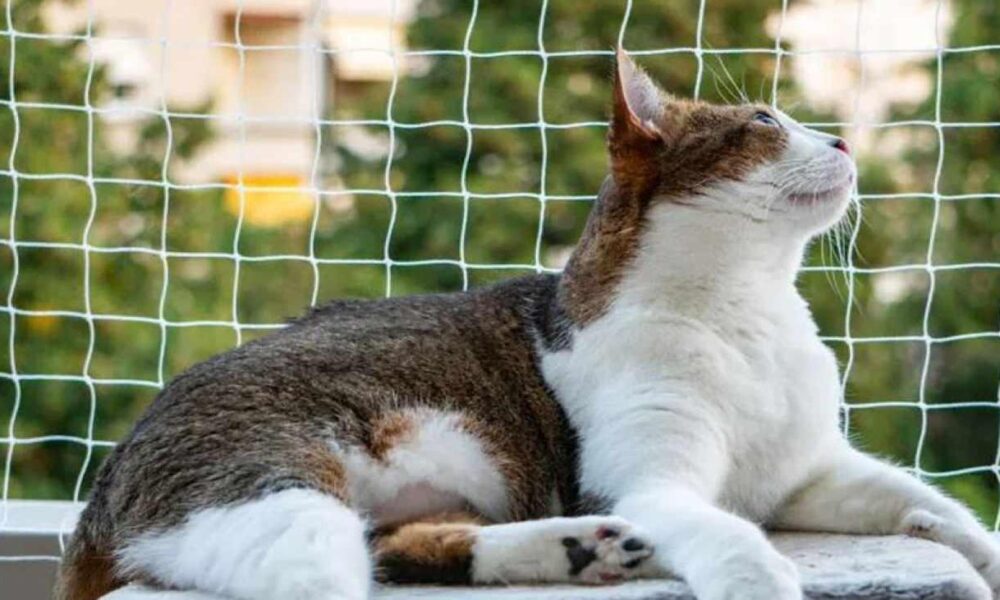 Balkonlarda güvenliğin sembolü: Balkon Filesi! Balkon filesi nasıl takılır?