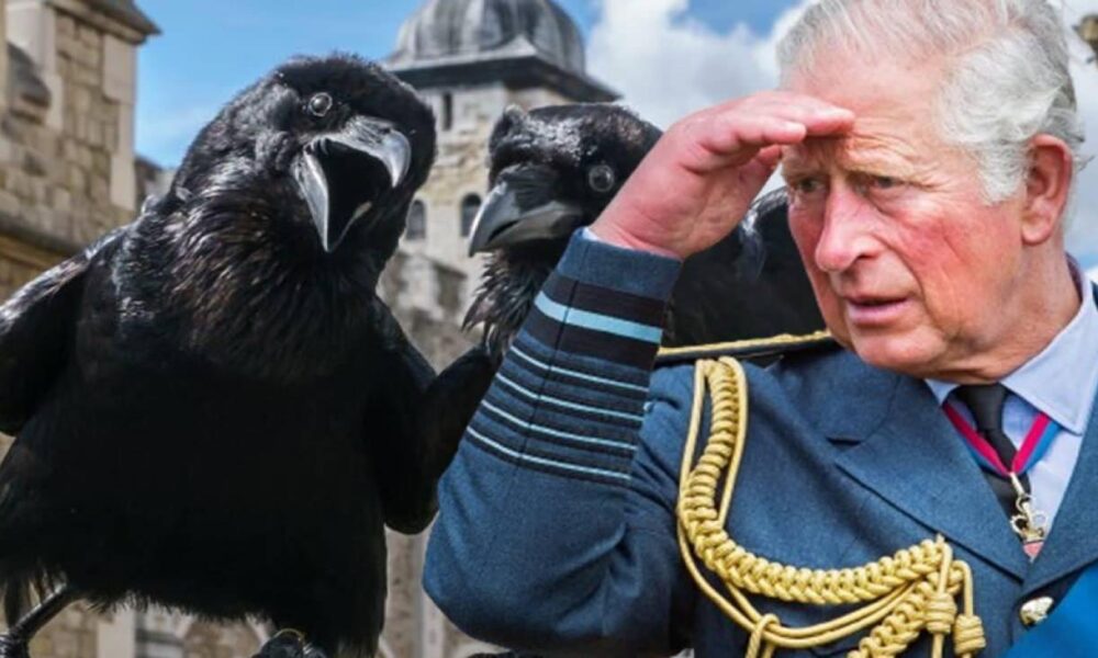 Kral III. Charles’ın batıl inancı şoke etti: Eğer yapmazsa Birleşik Krallık sona erecek!