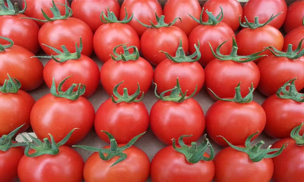 Menemen için harika domatesi seçmenin 7 yolu