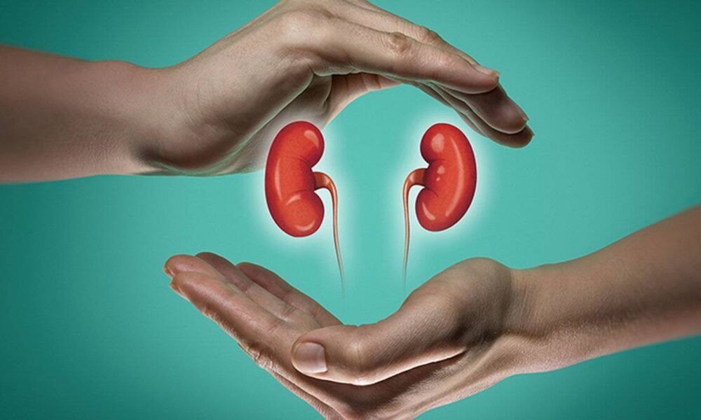 Sağlıklı böbrekler için mutfakta olmazsa olmaz 9 besin