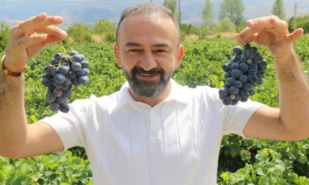 Yerli üzüm İtalyan üzümüne takip oldu! Migrenden kansere, her derde deva