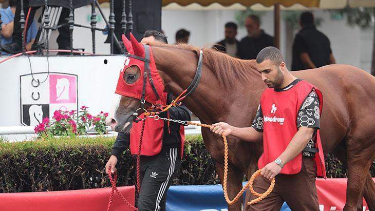 Atlar bu kez satış için yarıştı