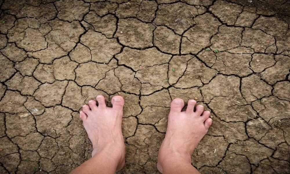 Çıplak ayakla toprağa basın! Tesirlerine inanamayacaksınız