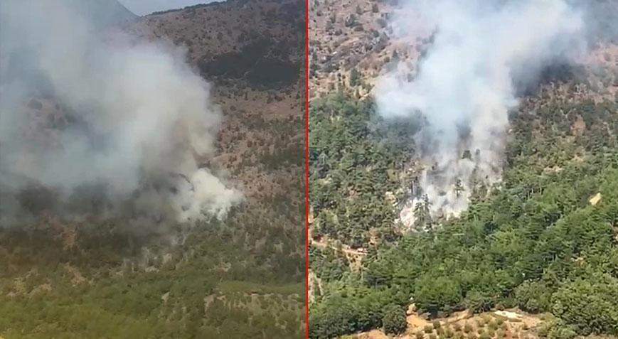 İzmir’de orman yangını! Havadan ve karadan müdahale ediliyor