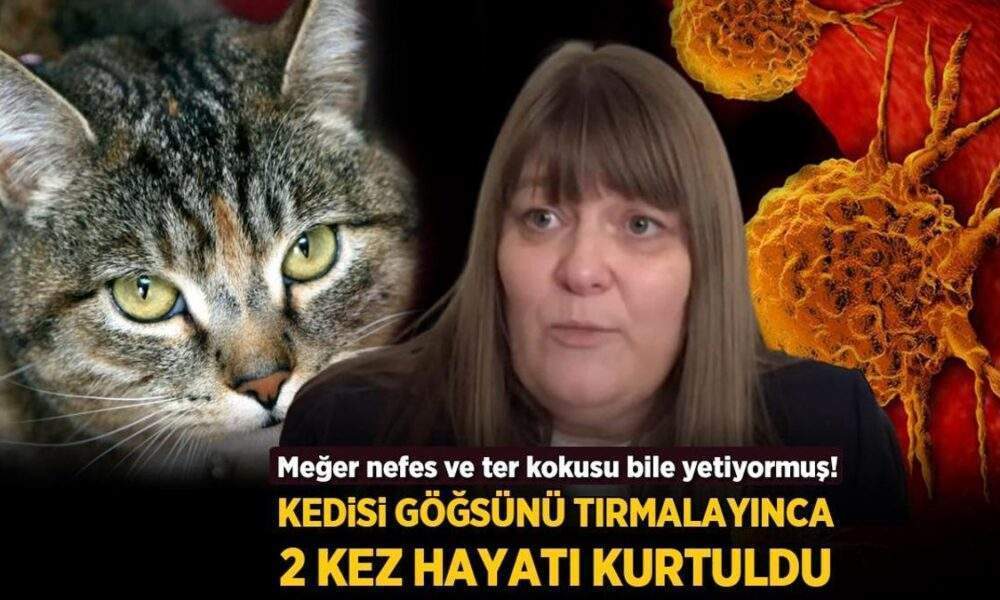 Kedisi göğsünü tırmalayınca 2 kez hayatı kurtuldu! Nefes ve ter kokusu bile yetiyor