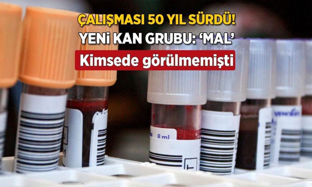 Keşfedilmesi tam 50 yıl sürdü, kimsede görülmemişti! Yeni kan grubu: ‘MAL’