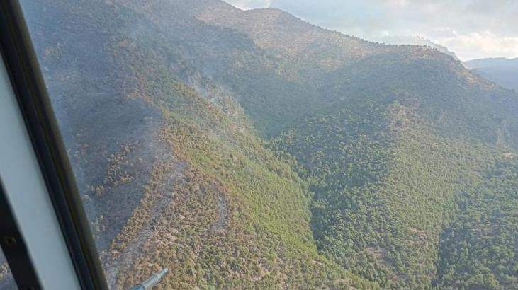 Manisa’daki orman yangını kontrol altında