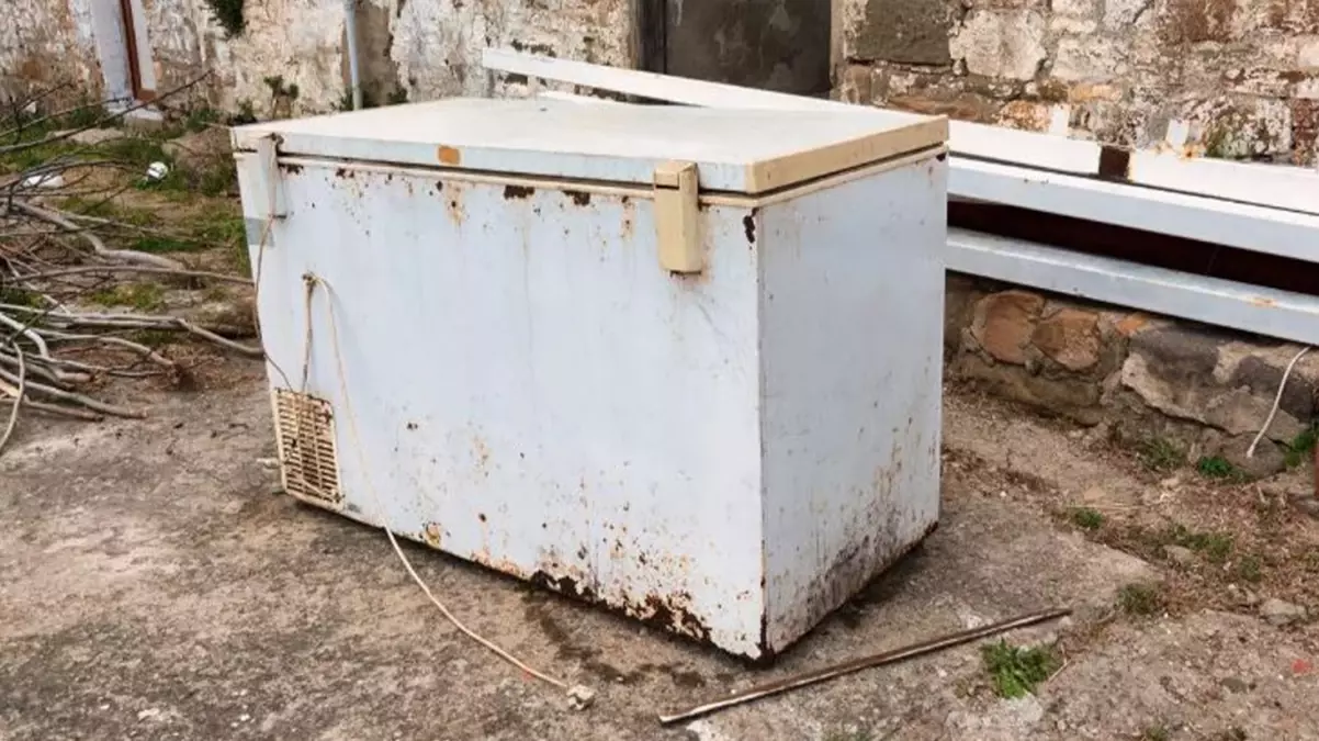 ABD’de bir adamın ücretsiz aldığı derin dondurucudan 19 yıldır kayıp olan genç kıza ait ceset parçaları çıktı