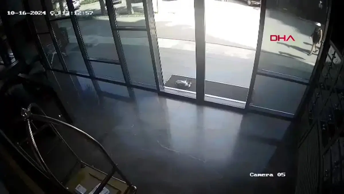 Adana’da Hırsızlık Yapan 4 Kadın Tutuklandı
