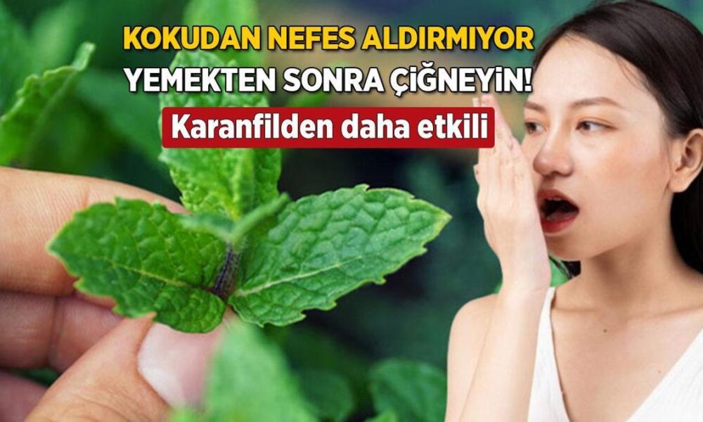 Ağızdaki sarımsak kokusunu şıp diye kesiyor! Karanfilden bin kat daha etkili, çiğneyerek tüketin