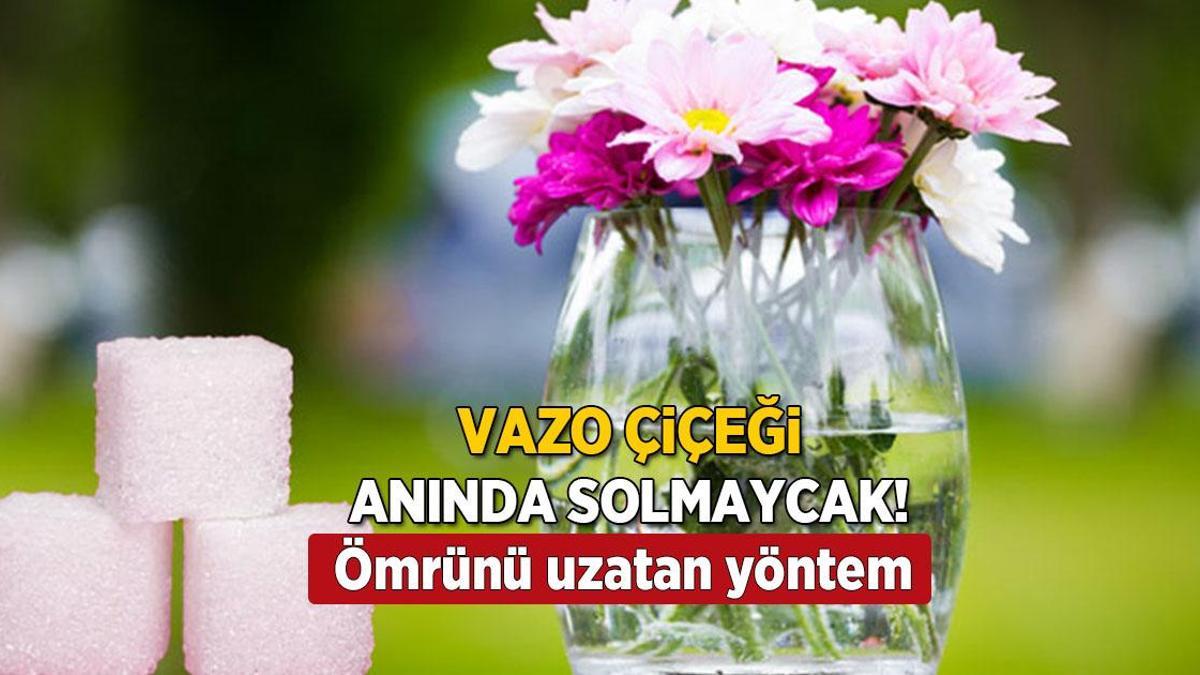 Anında soluyorsa tek çözümü var, vazoda çürümeyecek! Meğer su düşmanıymış