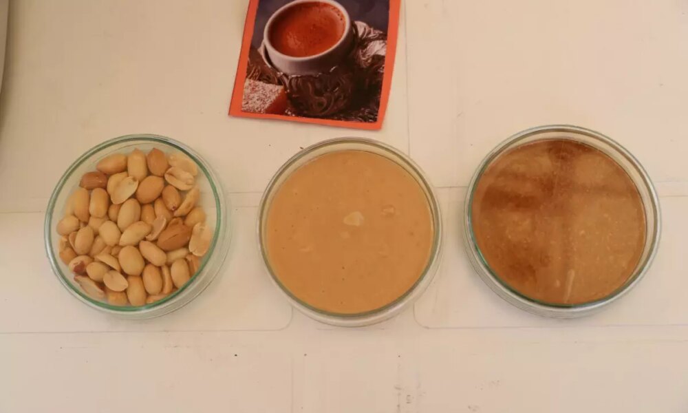 Bağcılar Bilim Şenliği’nde Yer Fıstığından Kahve Üretimi