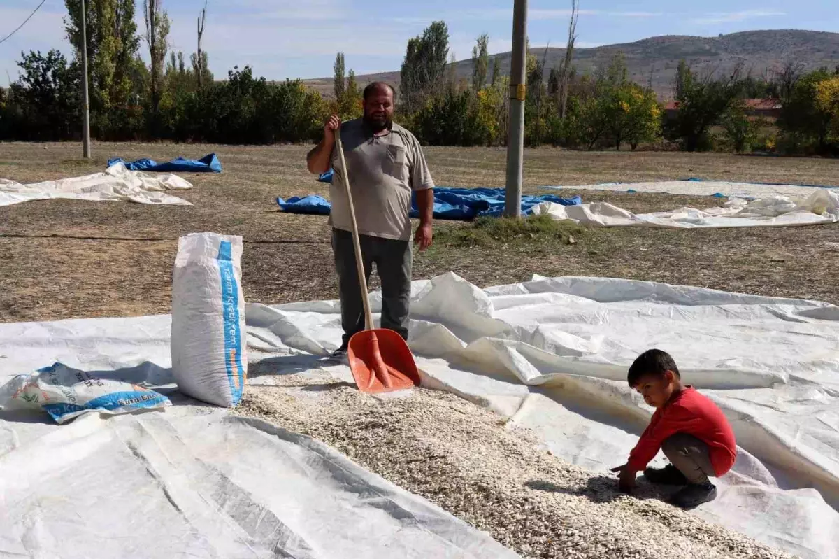 Çiftçiler Giderler Yüzünden Mağdur