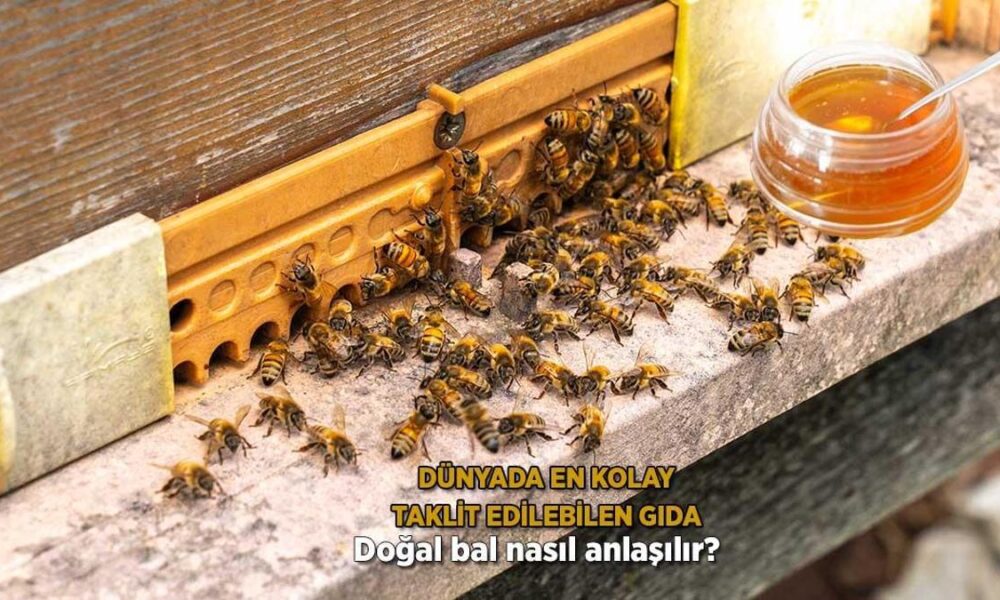 Dünyada en kolay taklit edilebilen gıda! ‘Doğal balı anlamanın tek yolu var’
