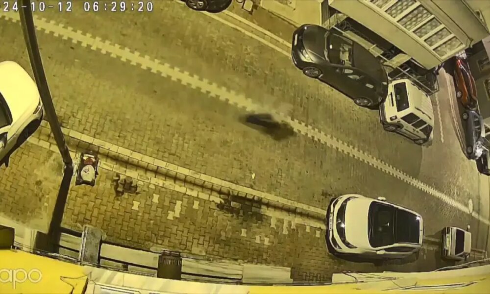 Esenyurt’ta Hamile Kadına Taciz İddiası: Şüpheli Yakalandı