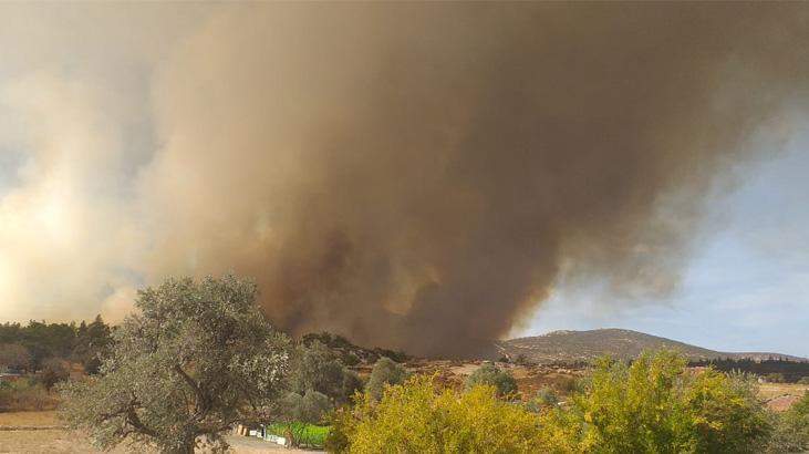 İzmir’de çöplükte çıkan yangın ormana sıçradı!