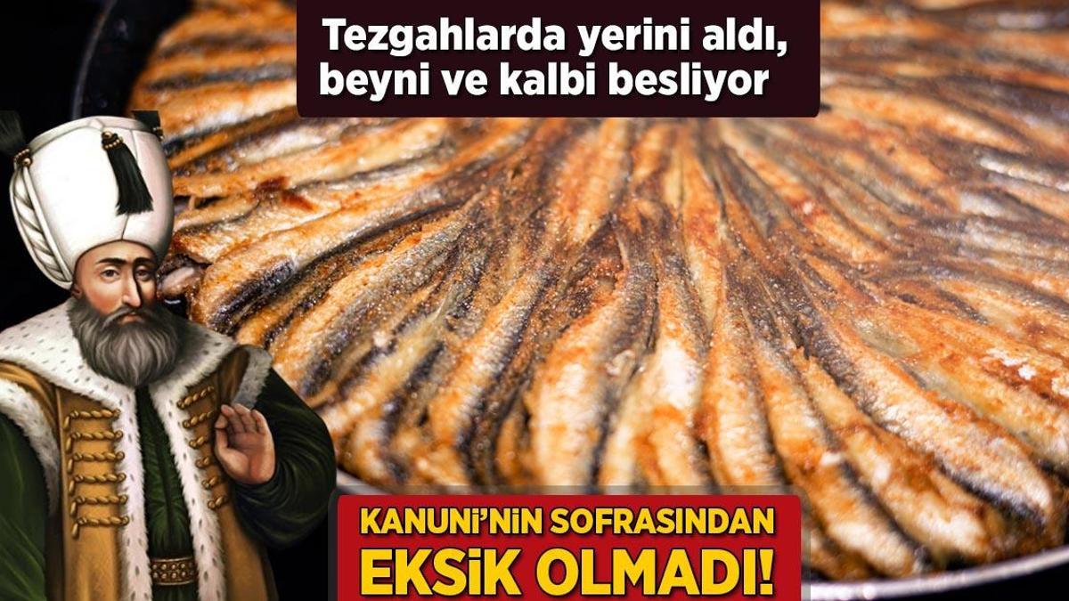 Kanuni sofrasından eksik olmazdı! Tazesi tezgahlara düştü, beyni ve kalbi besliyor