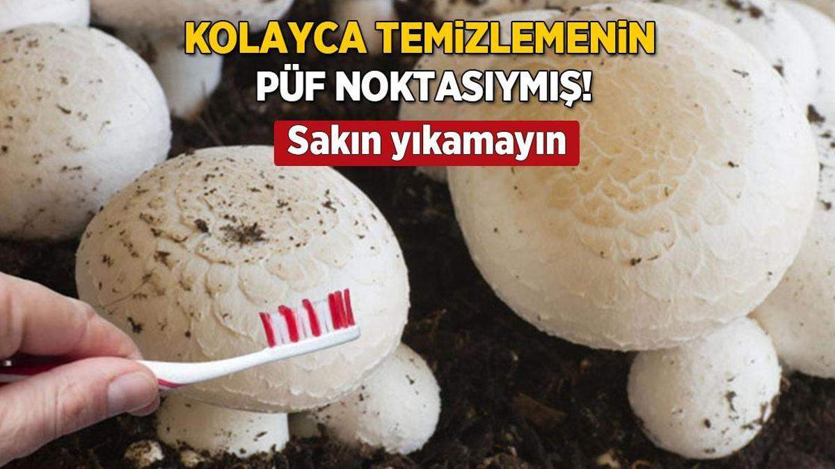 Mantarı dipdiri tutan taktik! Topraklı olsa bile yıkamayın, diş fırçası işi çözüyor