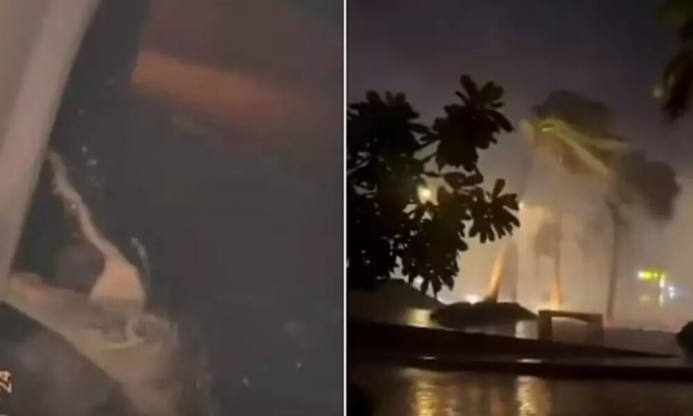Milton kasırgasının vurduğu Florida’da timsahlar evlere girdi
