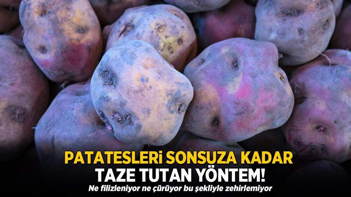 Patatesleri sonsuza kadar taze tutan yöntem! Ne filizleniyor ne çürüyor bu şekliyle zehirlemiyor
