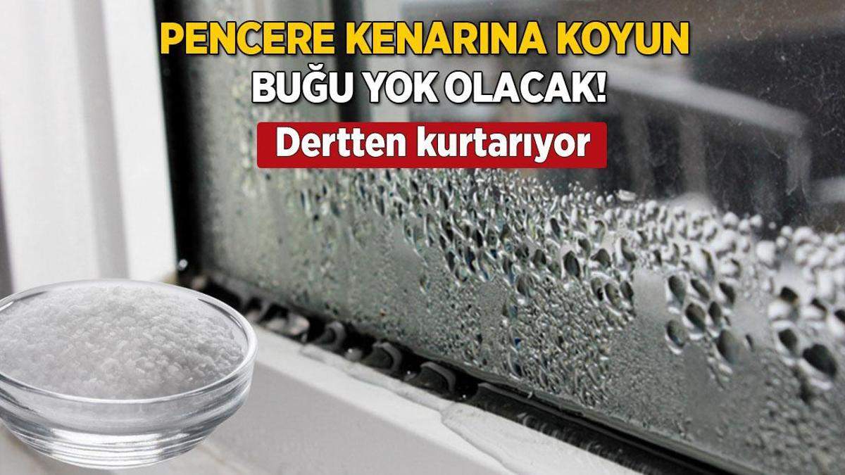 Soğuk havada kurtarıcı! Kenarına bir kase koyun, penceredeki buğu yok olacak