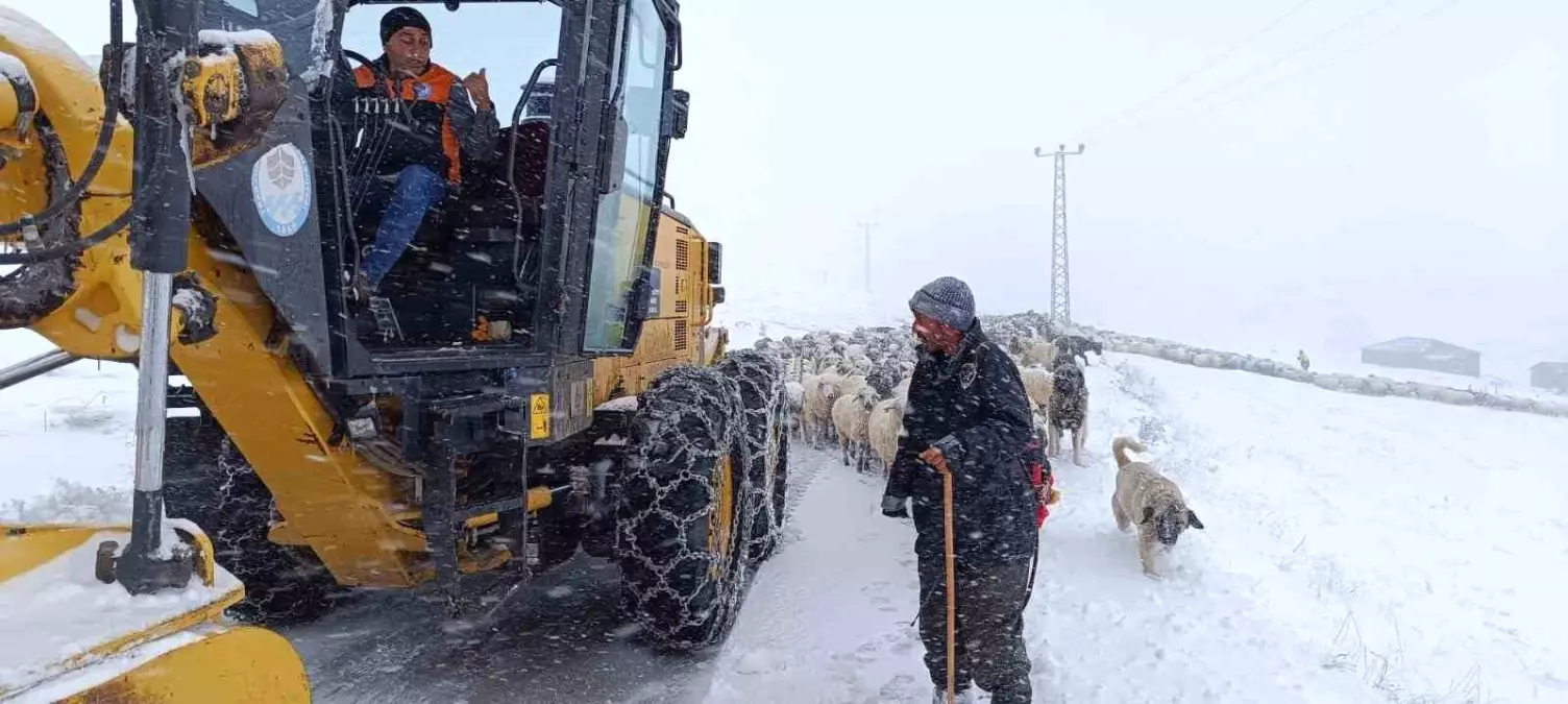 Trabzon’da Mahsur Kalan Çoban ve Koyunları Kurtarıldı