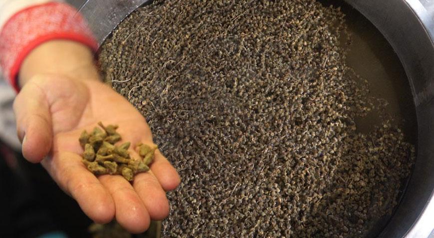 1 kilosu 2 bin liradan satılıyor! Kente gelen uğramadan gitmiyor