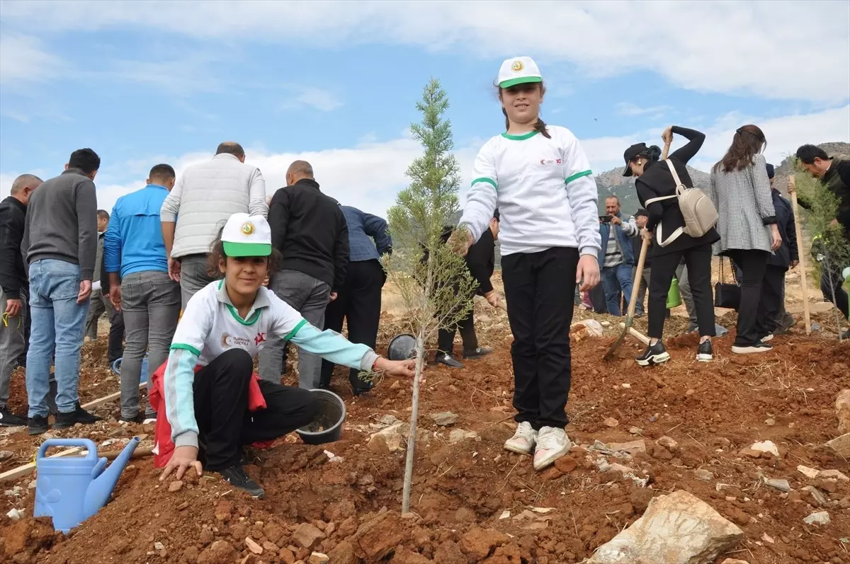11 Kasım Ağaçlandırma Günü Etkinlikleri