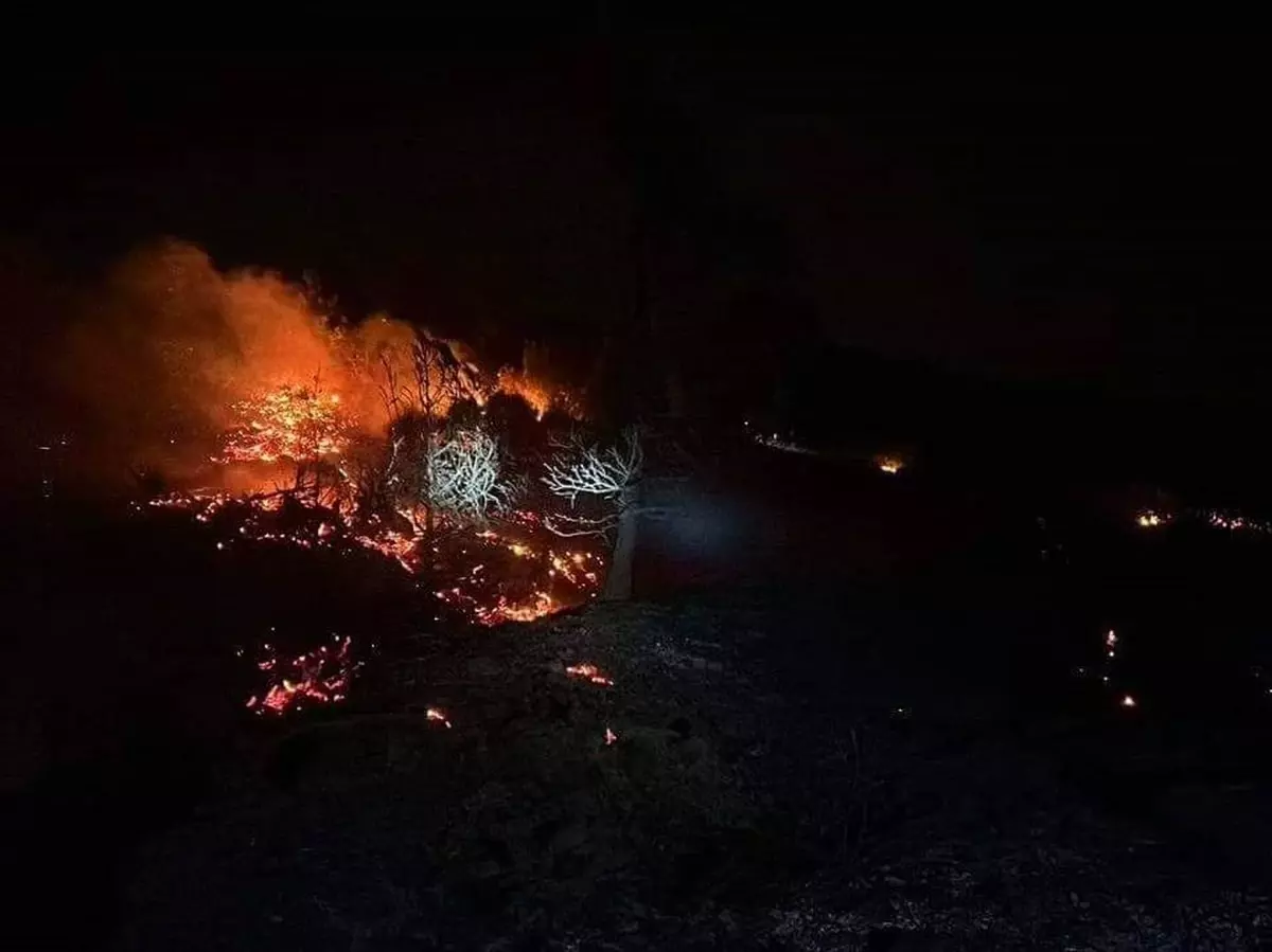 Belen’de Orman Yangını Söndürüldü