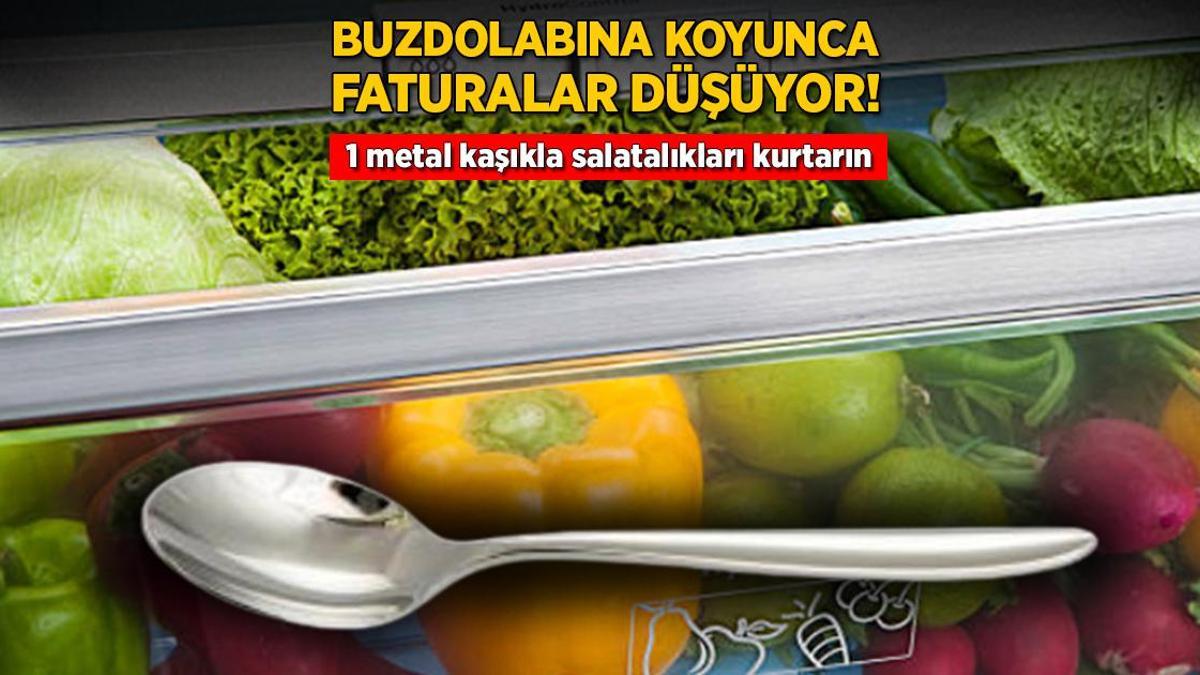 Buzdolabına koyunca faturalar düşüyor! 1 metal kaşıkla salatalıkları kurtarın
