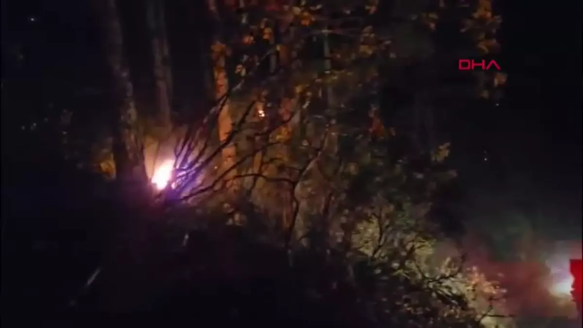 Gazipaşa’da Orman Yangını