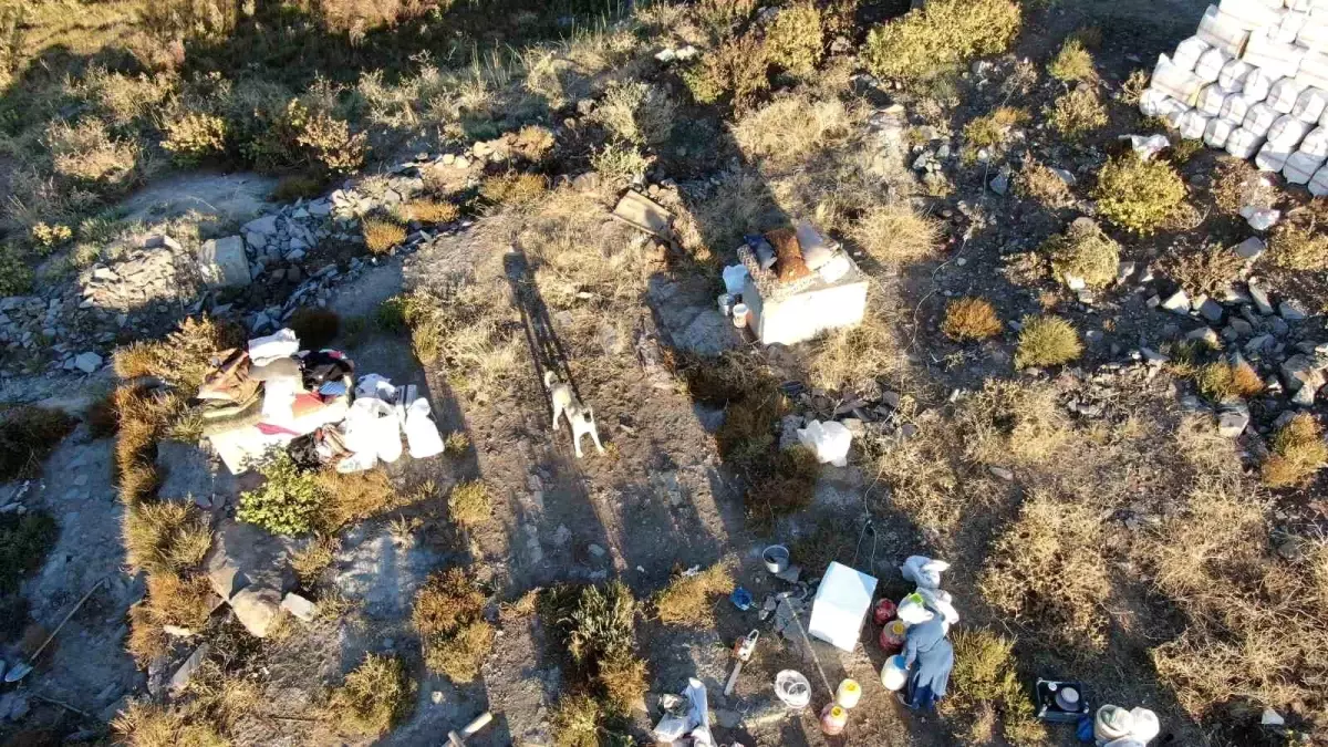 Kangal Köpeğinden Dron’a Saldırı