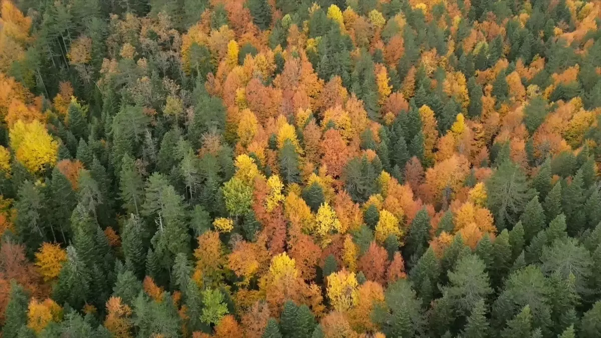 Karabük’te Sonbahar Renk Cümbüşü