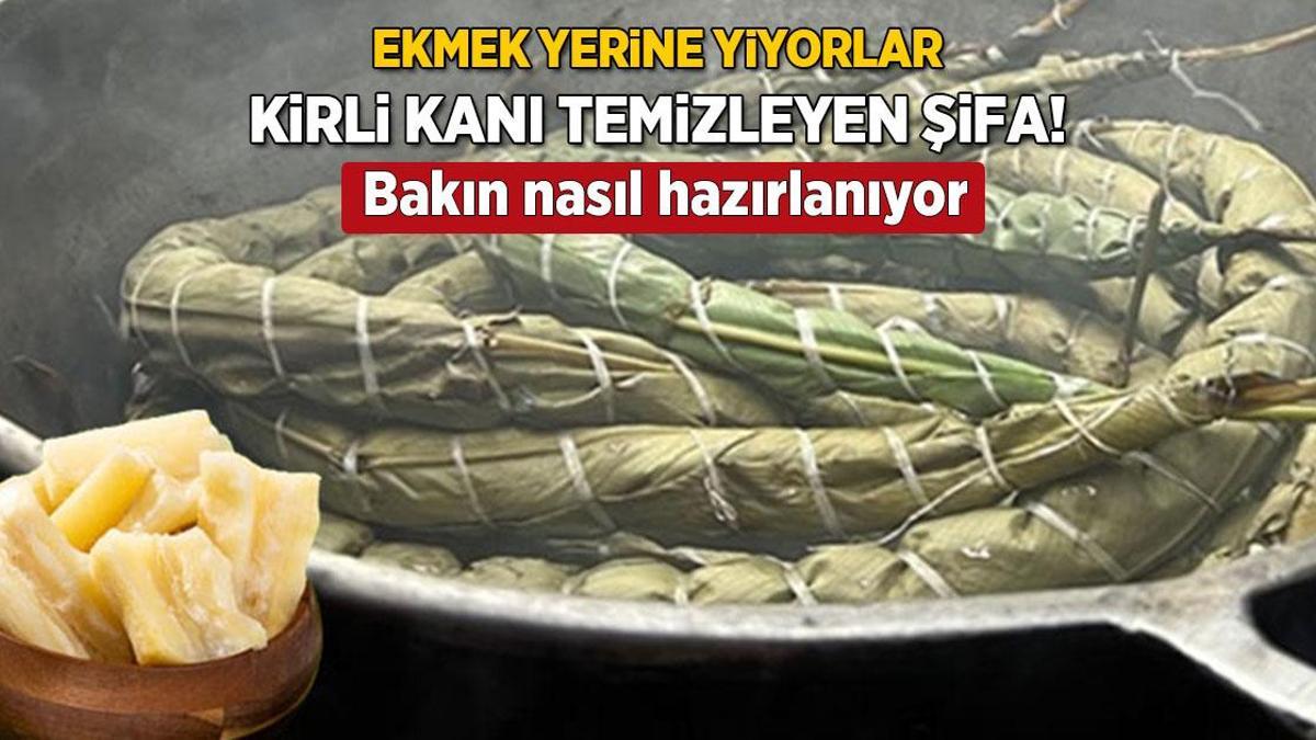 Kirli kanı tepeden tırnağa temizliyor! Asırlardır ekmek yerine giden mucize sebze: Manyok çubuğu