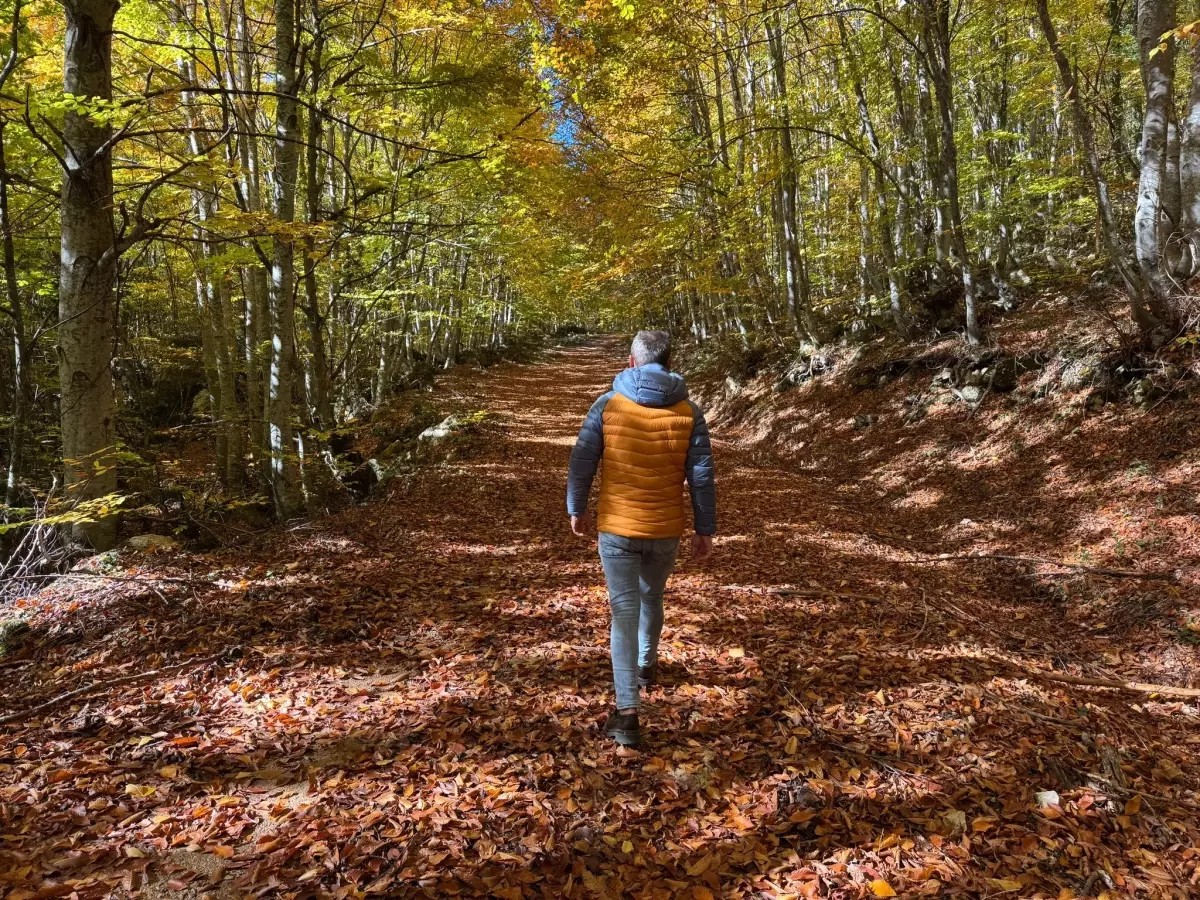 Küre Dağları’nda Sonbahar Şahane