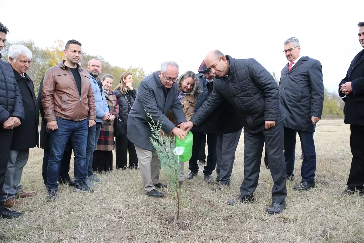 Milli Ağaçlandırma Günü Kutlandı