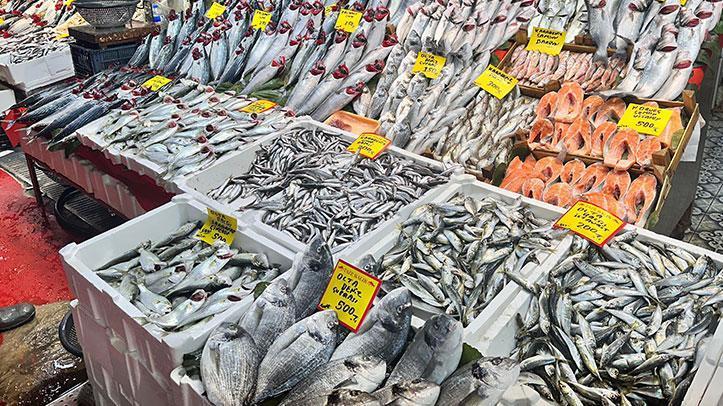 Palamut yerini hamsi ve çinekop bıraktı