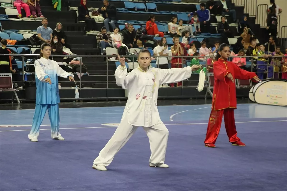 Sakarya’da Wushu Türkiye Şampiyonası Yapıldı