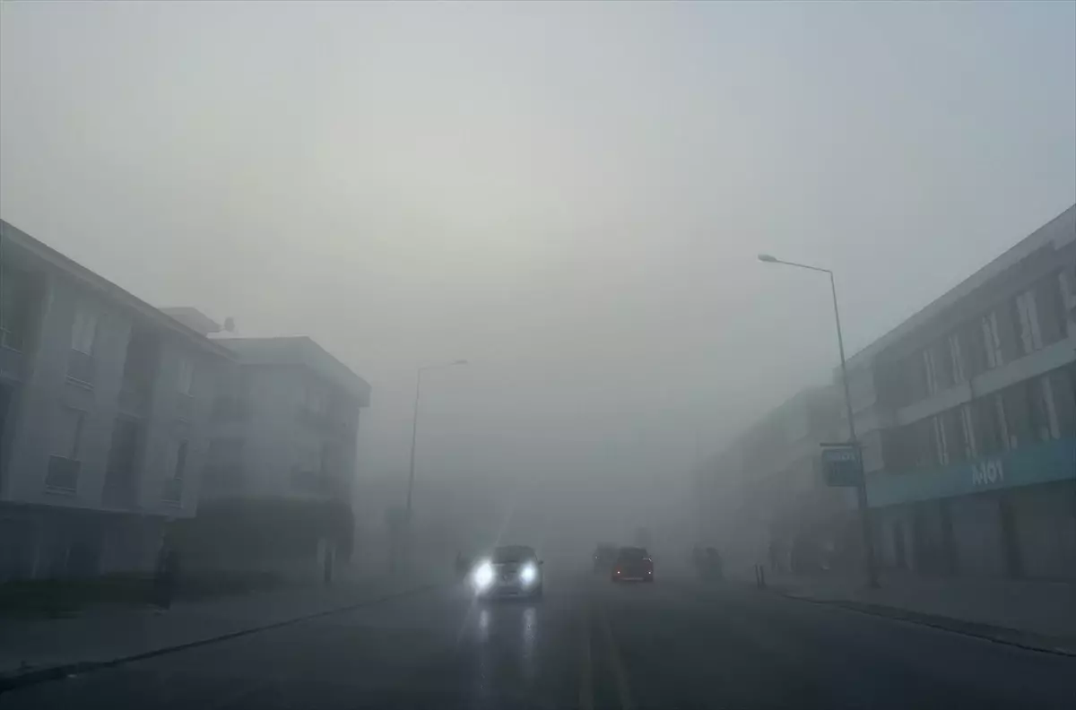 Sakarya’da Yoğun Sis