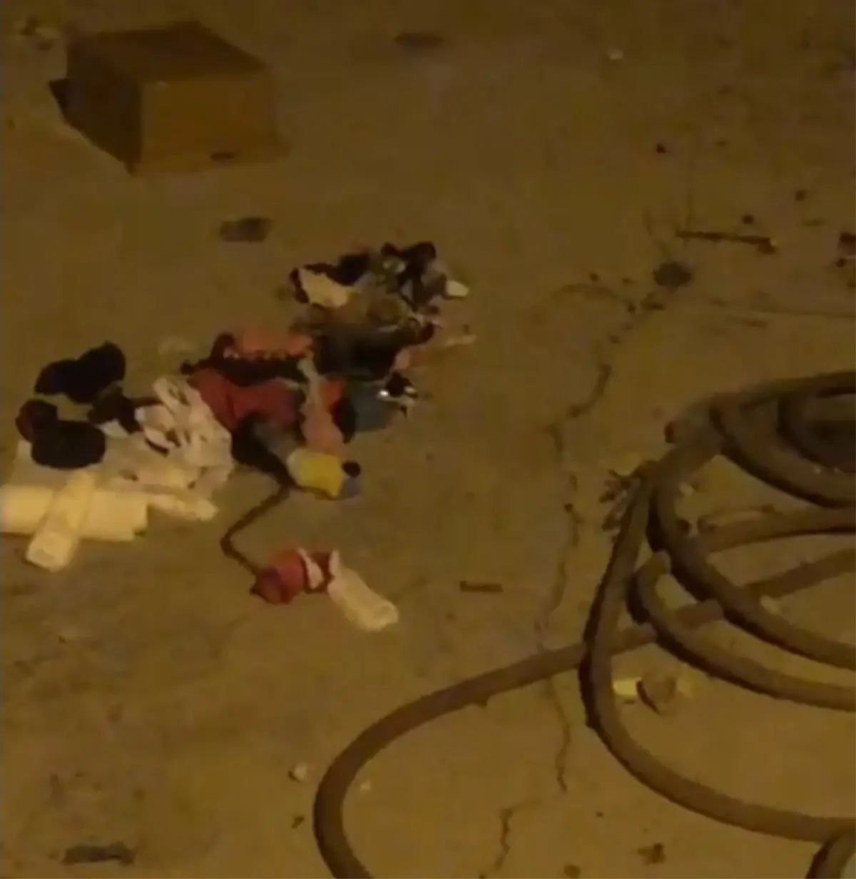 Samandağ’da Konteynerde Yılan Panik Yarattı