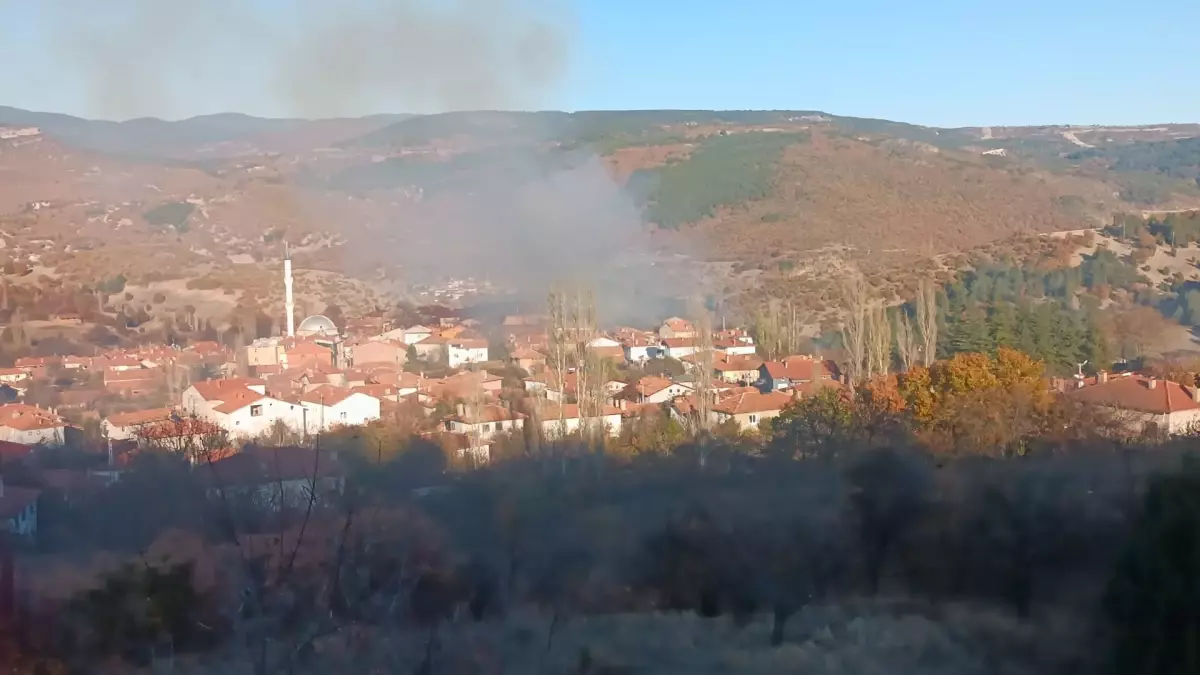 Tavşanlı’da Çöplük Yangını Evleri Sardı