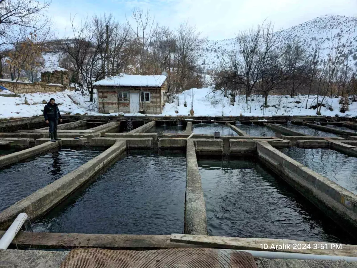 Erzincan’da Su Ürünleri Yetiştiriciliği