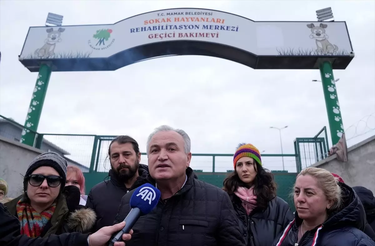 Mamak’ta Hayvan Katliamı İddiası