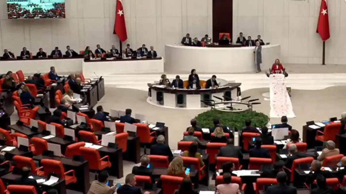 TBMM’deki Bütçe Görüşmelerinde Kefenli Protesto: Kadın Cinayetlerine Dikkat Çekildi